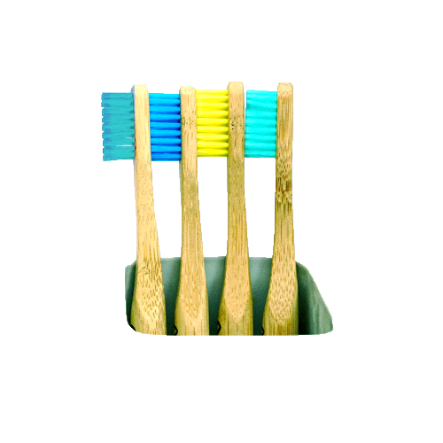 Waterpik WP-100 – Dental Care